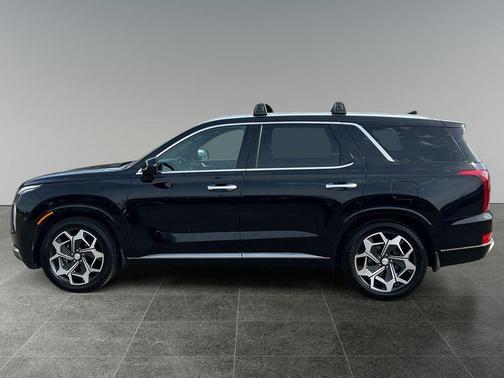 Abyss Black Pearl 2022 Hyundai PALISADE Calligraphy