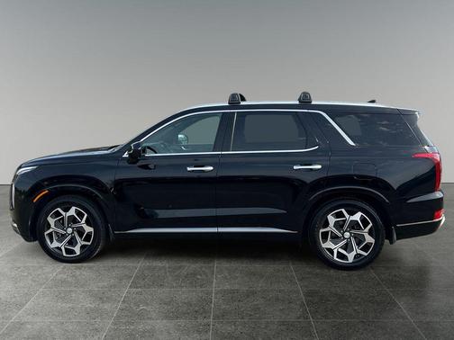 Abyss Black Pearl 2022 Hyundai PALISADE Calligraphy