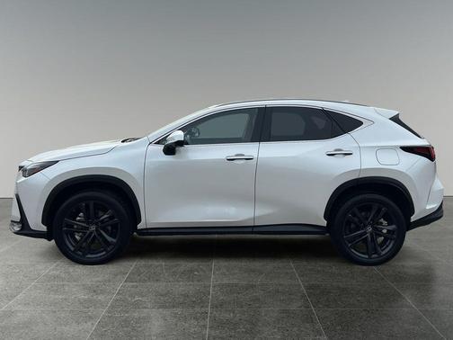 2024 Lexus NX 450h+ Luxury