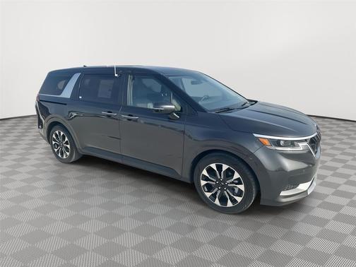 Panthera Metal 2024 Kia Carnival EX