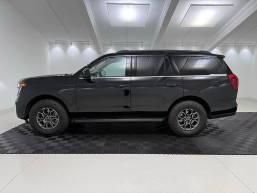 Agate Black Metallic 2025 Ford Expedition Active