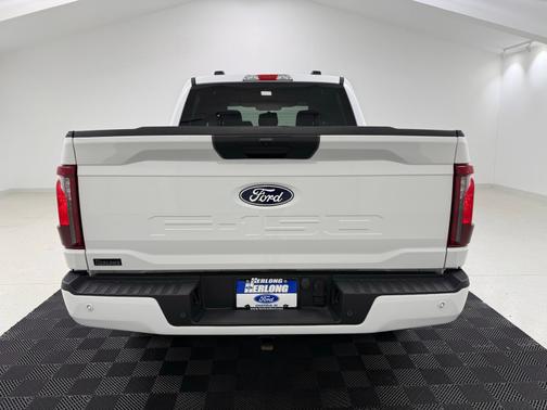 Oxford White 2025 Ford F-150 STX