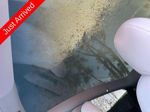 2024 Tesla Model Y Performance Dual Motor All-Wheel Drive