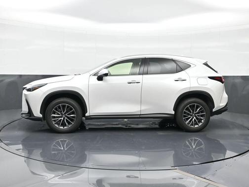 White Pearl 2024 Lexus NX 250 Premium