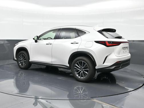 White Pearl 2024 Lexus NX 250 Premium