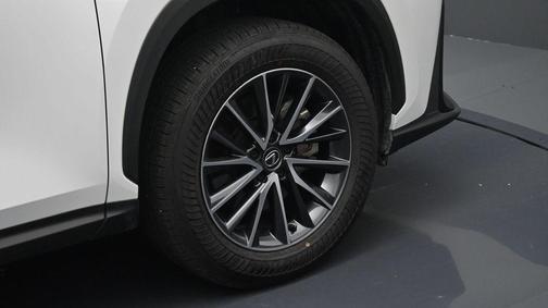 White Pearl 2024 Lexus NX 250 Premium