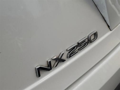 2024 Lexus NX 250 Premium