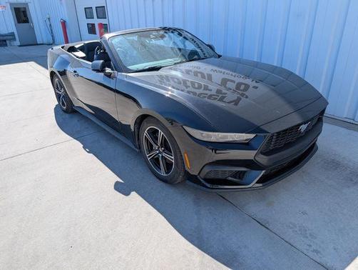 Shadow Black 2025 Ford Mustang EcoBoost Premium