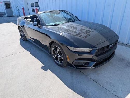 Shadow Black 2025 Ford Mustang EcoBoost Premium