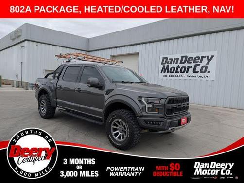 Magnetic 2019 Ford F-150 Raptor