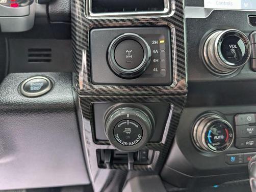 Magnetic 2019 Ford F-150 Raptor