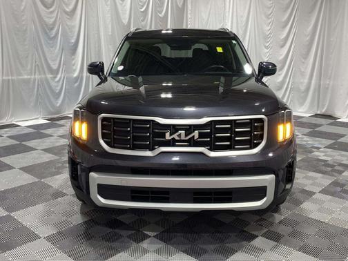 Panthera Metal 2025 Kia Telluride S