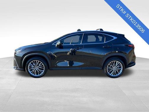 2023 Lexus NX 350h Luxury