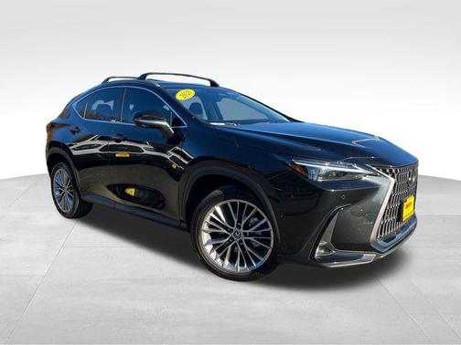 2023 Lexus NX 350h Luxury