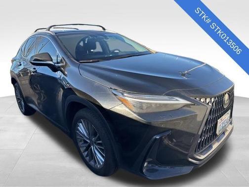 2023 Lexus NX 350h Luxury