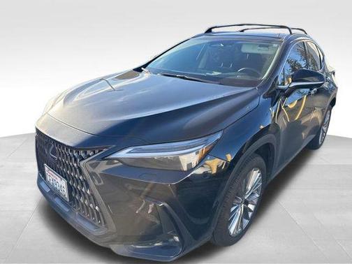 2023 Lexus NX 350h Luxury