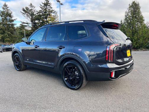 Panthera Metal 2025 Kia Telluride EX X-Line