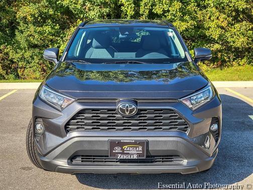 Magnetic Gray Metallic 2019 Toyota RAV4 XLE
