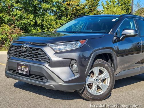 Magnetic Gray Metallic 2019 Toyota RAV4 XLE