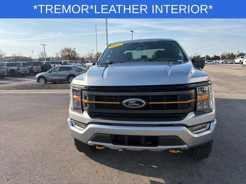 Silver 2023 Ford F-150 Tremor