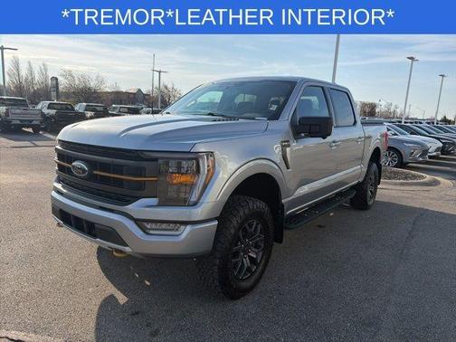 Silver 2023 Ford F-150 Tremor