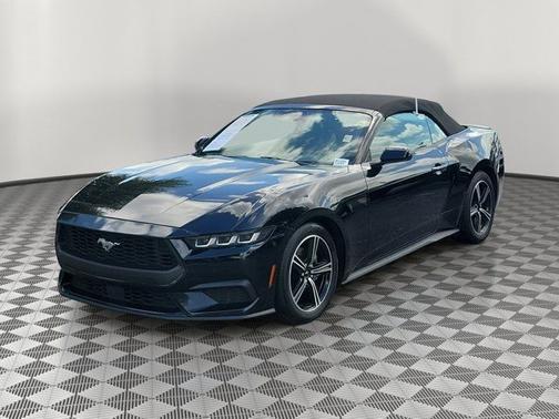 SHADOW BLACK 2024 Ford Mustang ECOBOOST PREMIUM