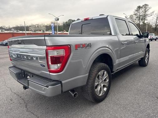 2021 Ford F-150 Platinum