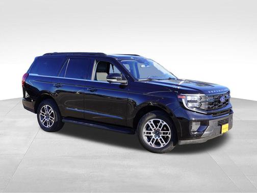 Agate Black Metallic 2025 Ford Expedition Active