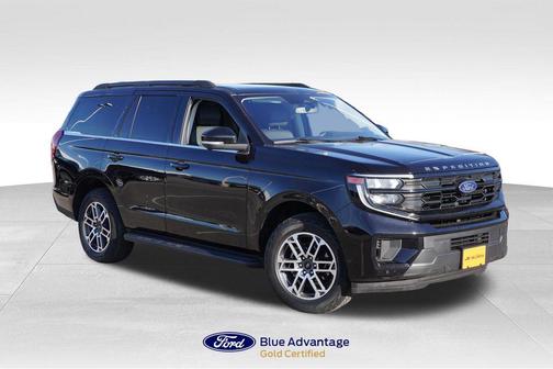 Agate Black Metallic 2025 Ford Expedition Active