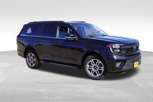 Agate Black Metallic 2025 Ford Expedition Active