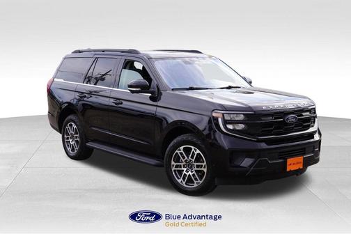 Agate Black Metallic 2025 Ford Expedition Active