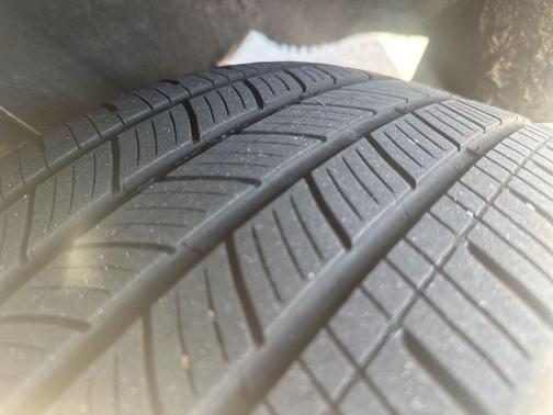 Magnetic 2019 Ford Escape SE