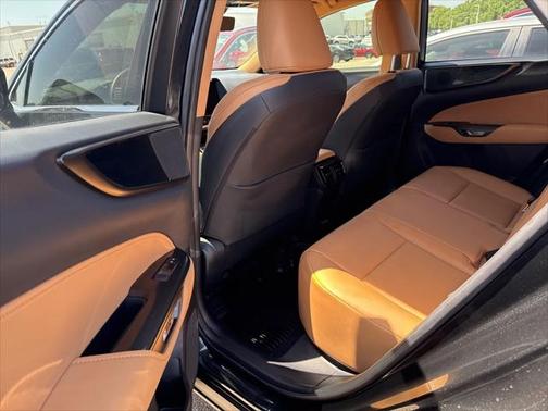 2023 Lexus NX 250 Premium