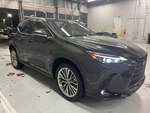 2025 Lexus NX 350 Premium