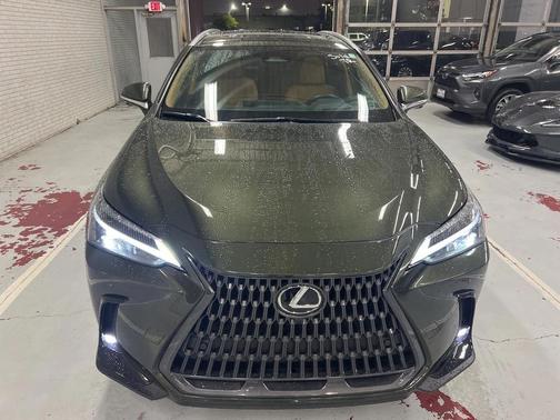 2025 Lexus NX 350 Premium