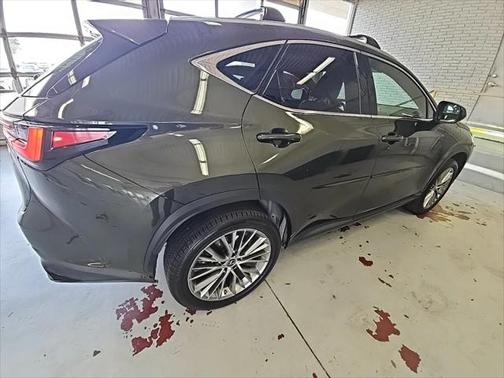 2023 Lexus NX 350h Premium