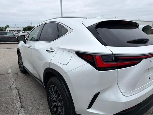 Eminent White Pearl 2025 Lexus NX 250 Premium