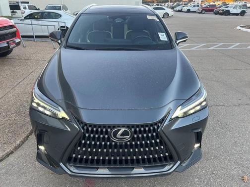 2024 Lexus NX 350h Luxury
