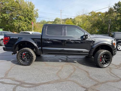 Agate Black Metallic 2025 Ford F-150 Platinum