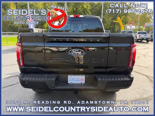 Agate Black Metallic 2025 Ford F-150 Platinum