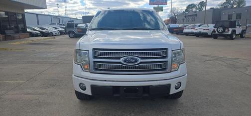 2010 Ford F-150 Platinum