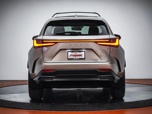 Cloudburst Gray 2025 Lexus NX 350 Premium