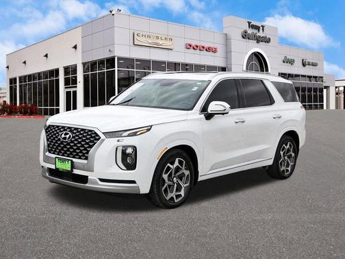 Hyper White 2021 Hyundai PALISADE Calligraphy