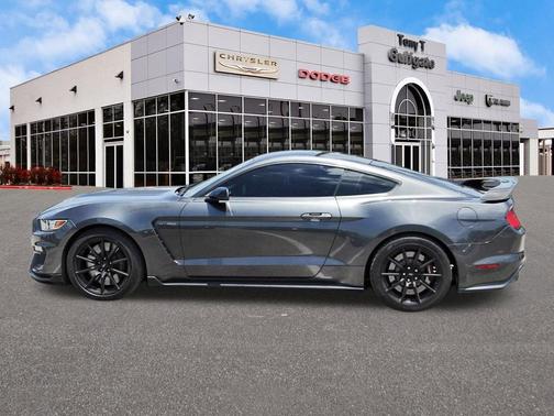 Magnetic 2016 Ford Shelby GT350 Base