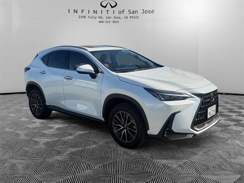 2024 Lexus NX 250 Premium