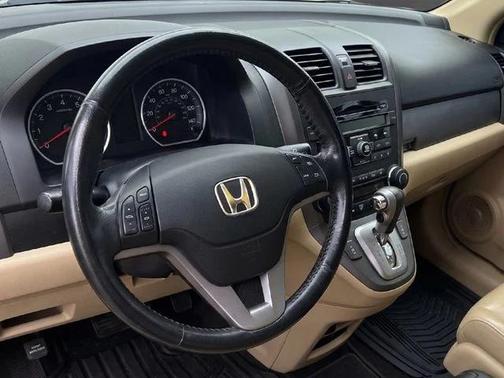 Opal Sage Metallic 2010 Honda CR-V EX-L