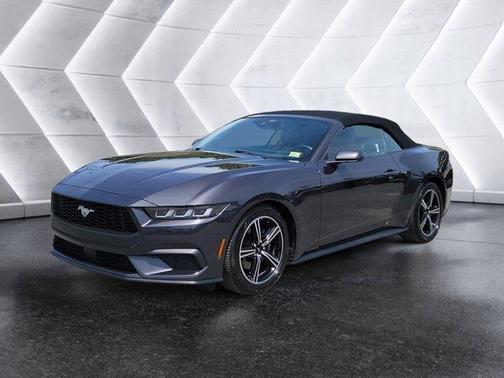 Black 2024 Ford Mustang EcoBoost