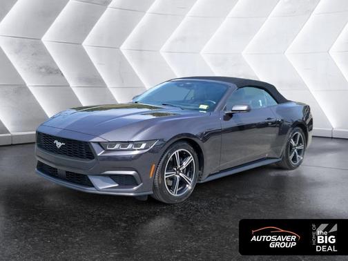 Black 2024 Ford Mustang EcoBoost