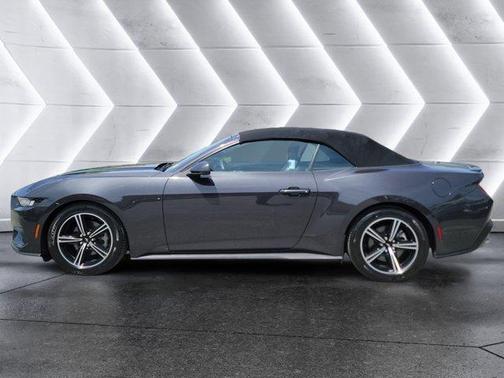 Black 2024 Ford Mustang EcoBoost