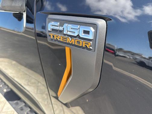 AGATE BLACK METALLIC 2024 Ford F-150 Tremor